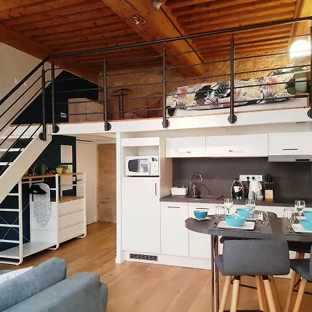 Style Canut Pentes Croix Rousse Apartment